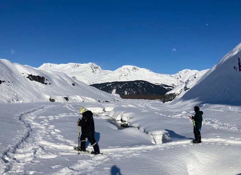 Picture 31 for Activity Guided Snowshoeing Adventure from Seward, Alaska