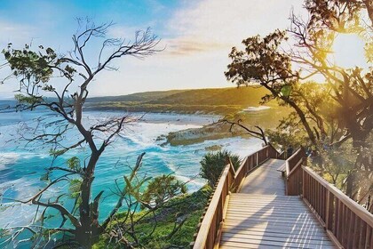 Stradbroke Isand Full Day Tour from Brisbane