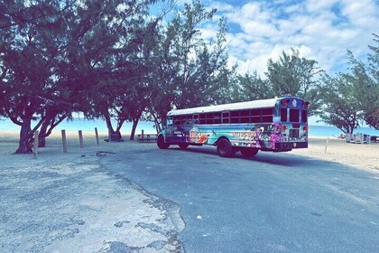 Hop-On and Hop-Off Tour in Grand Turk