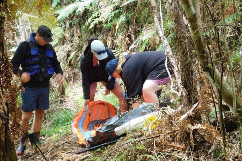 Thrilling Outdoor Mission through Native NZ bush