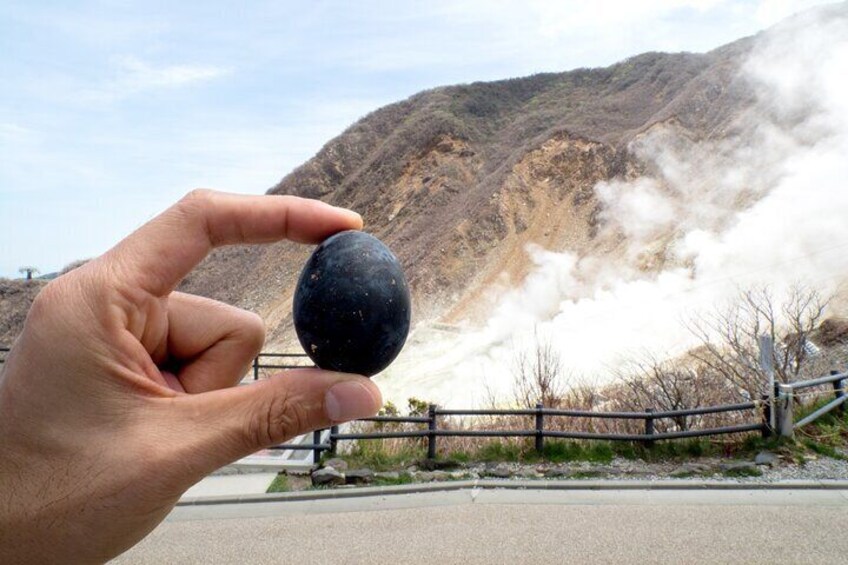 Scenic Mt.Fuji and Hakone : Owakudani , Skywalk & Yumeno Ohashi