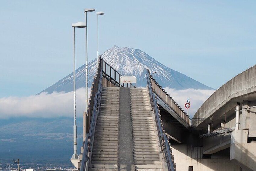 Scenic Mt.Fuji and Hakone : Owakudani , Skywalk & Yumeno Ohashi