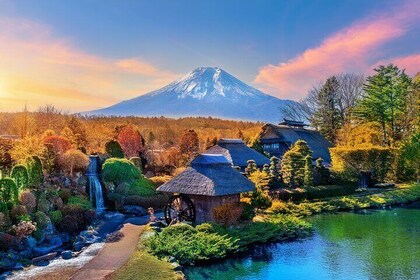 Mt. Fuji Signature 6 Scenic Spots One Day Tour from Tokyo