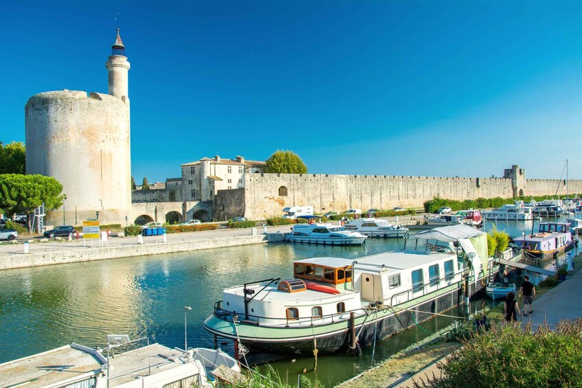 Picture 3 for Activity From Avignon: Camargue Tour with Pont de Gau Bird Park Entry