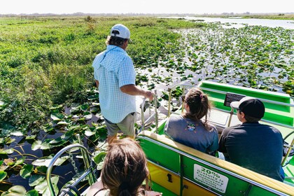 Orlando: recorrido en hidrodeslizador por la vida silvestre de los Everglad...