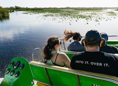 Orlando: 90 minuten durende Airboat Everglades Adventure Tour
