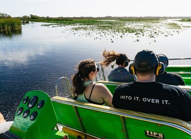 Orlando: 90-Minute Airboat Everglades Adventure Tour