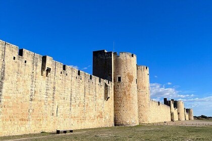 Small group half day Camargue and rosé wine tour from Montpellier