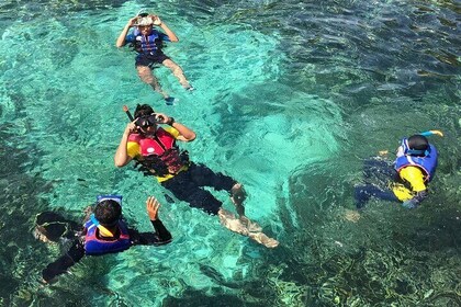 Marine Park Island hopping, Snorkelling, and adventure