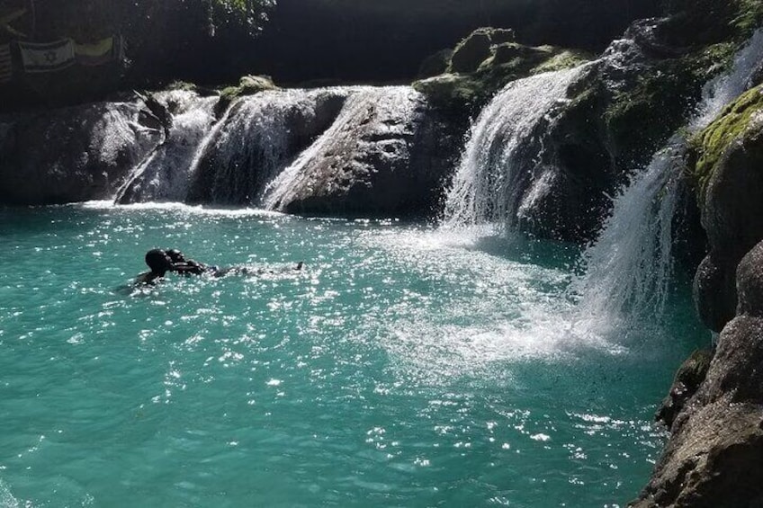 Dunns River Falls & Blue Hole In Ocho Rios Frm Negril Montego Bay