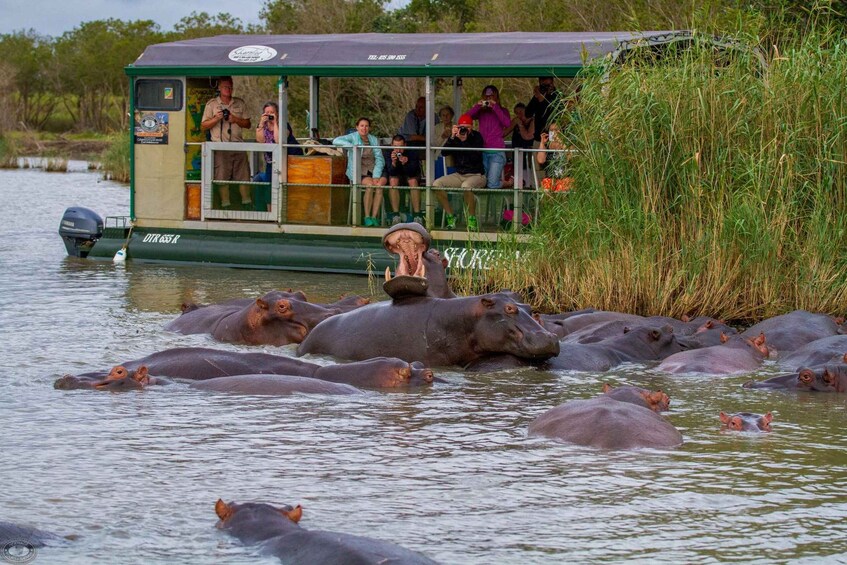 Picture 3 for Activity St Lucia: Hippo and Crocodile Cruise on a 15-Seat Vessel