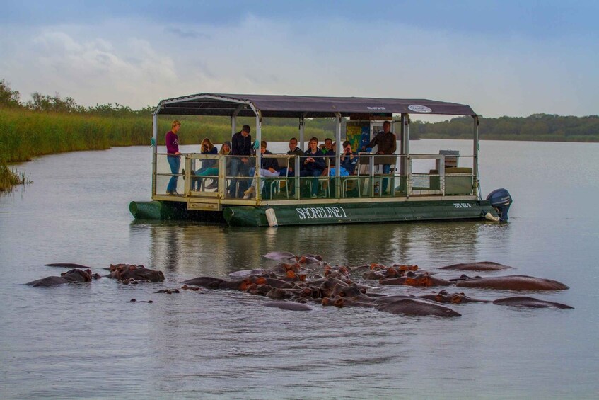 Picture 8 for Activity St Lucia: Hippo and Crocodile Cruise on a 15-Seat Vessel