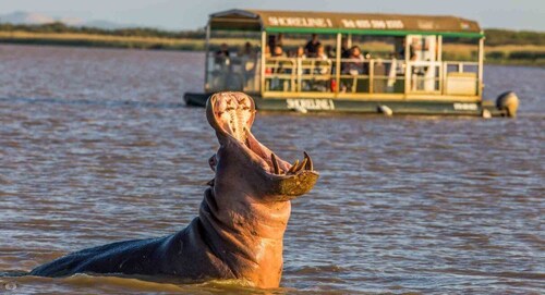 St Lucia: Hippo and Crocodile Cruise on a 15-Seat Vessel