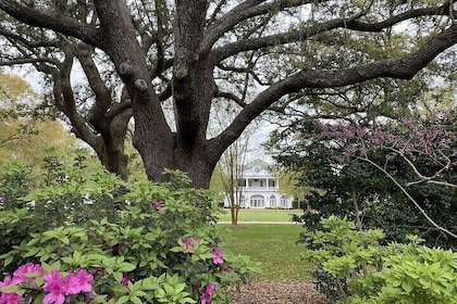 Access Tour to the Cameron House from Outer Banks