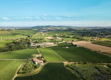 Verona: Custoza el-sykkeltur