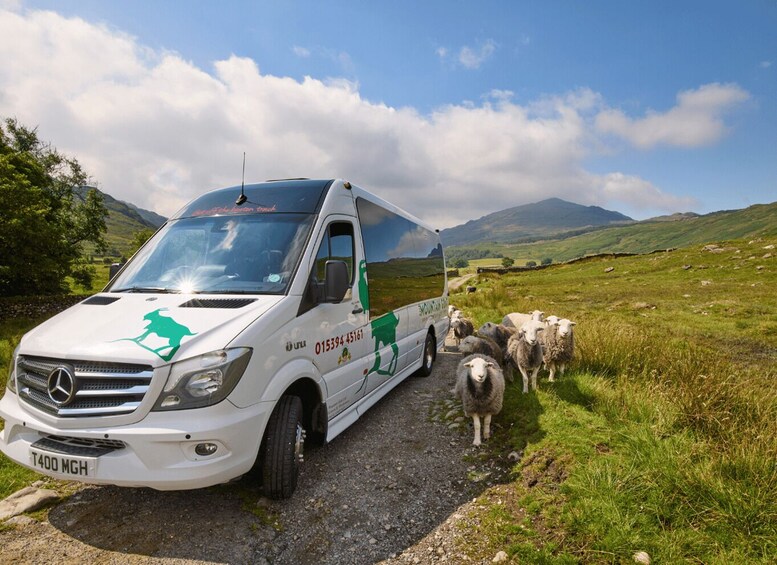 Picture 3 for Activity From Liverpool: Lake District Tour with Lake Cruise & Train