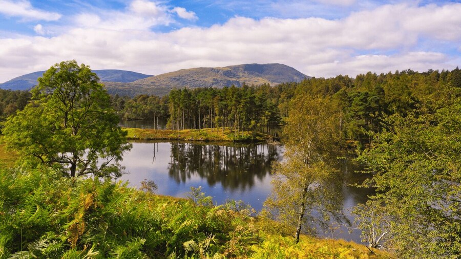 Picture 1 for Activity Liverpool: Lake District Tour with Lake Cruise & Train Ride