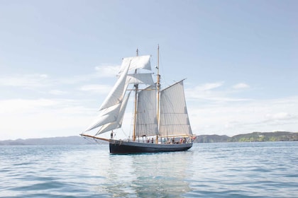 Bay of Islands: Ganztägiger Segelausflug mit einem großen Schiff