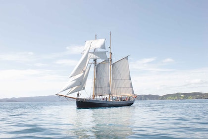 Baai van de Eilanden: Hele dag Tall Ship Sailing Excursie