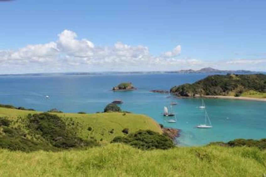 Picture 10 for Activity Bay of Islands: Full-Day Tall Ship Sailing Excursion