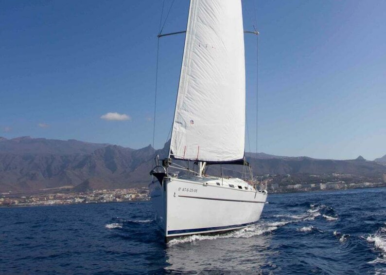 Picture 2 for Activity Tenerife: Whale and Dolphin Watching Tour by Sailboat