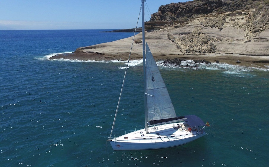 Picture 8 for Activity Tenerife: 3-Hour Whale and Dolphin Watching by Sailboat