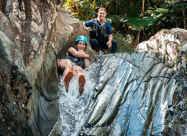 San Juan: El Yunque Rainforest Hike & Waterglijbaan en Bio Bay