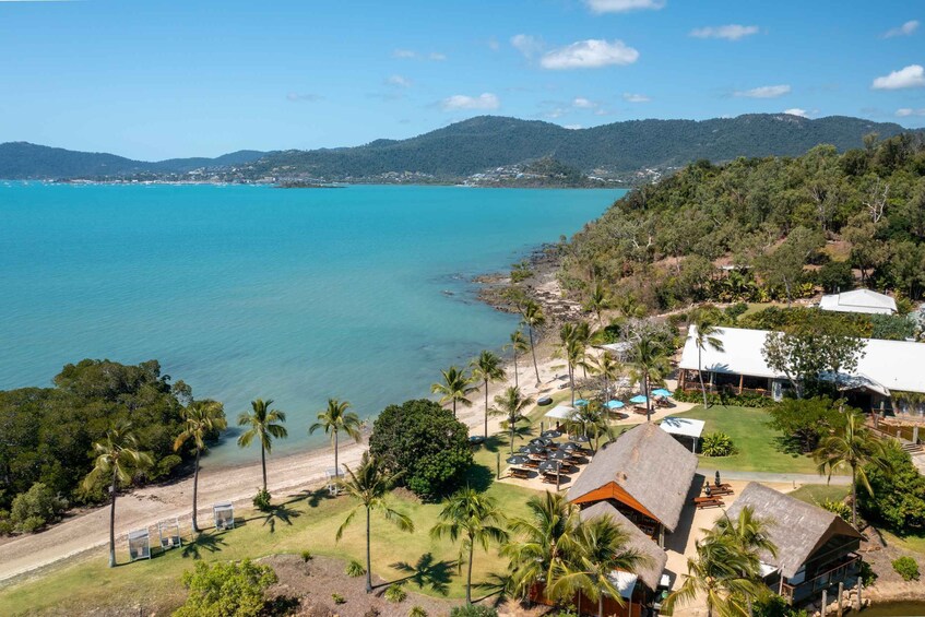 Picture 2 for Activity Airlie Beach: Cedar Creek Falls & Northerlies Beach Day Trip