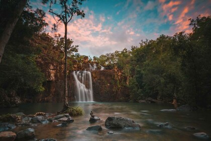 Airlie Beach: Excursión de un día a las cataratas de Cedar Creek y a la pla...