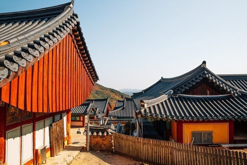 Spiritual Sojourn in Busan, Beomeosa & Hongbeopsa Tour