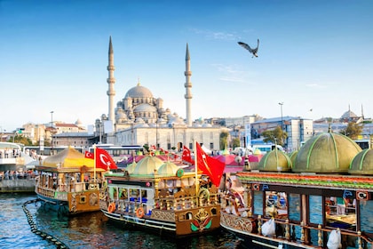 Istanbul: 1 eller 2 dagars privat guidad rundtur med hotelltransfer