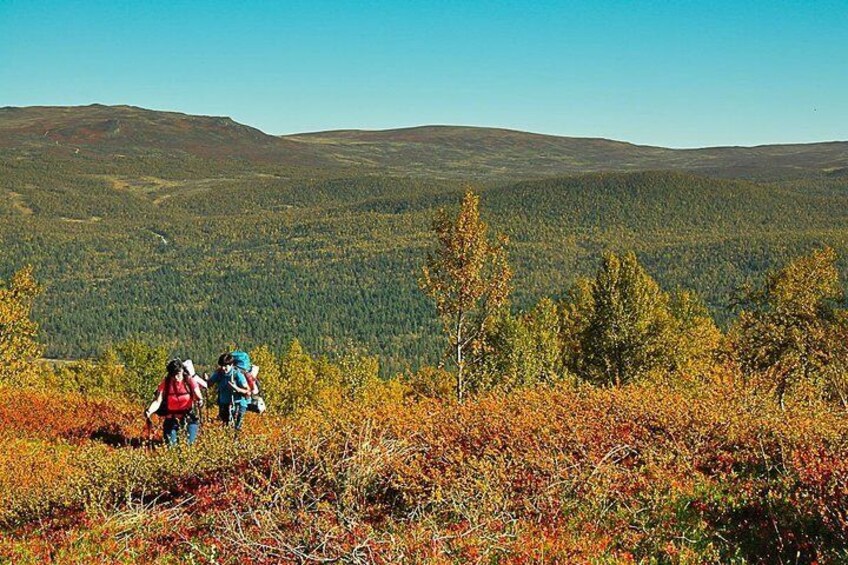 Trekking week in Europe's largest nature reserve