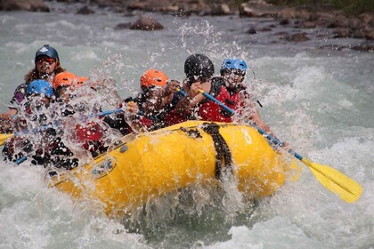 Parque Nacional Jasper: rafting en aguas bravas por el río Sunwapta