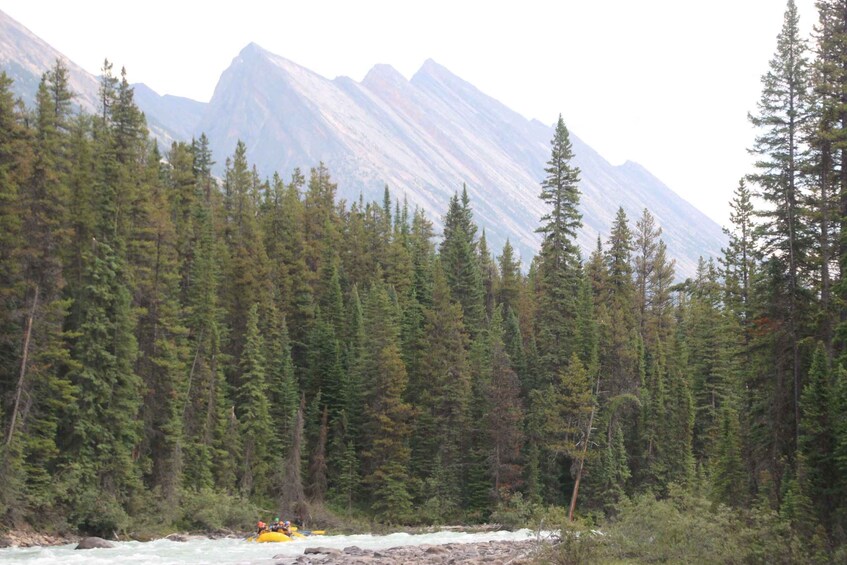 Picture 1 for Activity Jasper National Park: Sunwapta River White Water Rafting