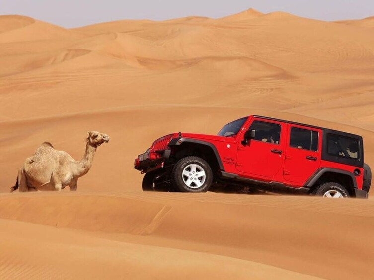 Riyadh Desert Safari