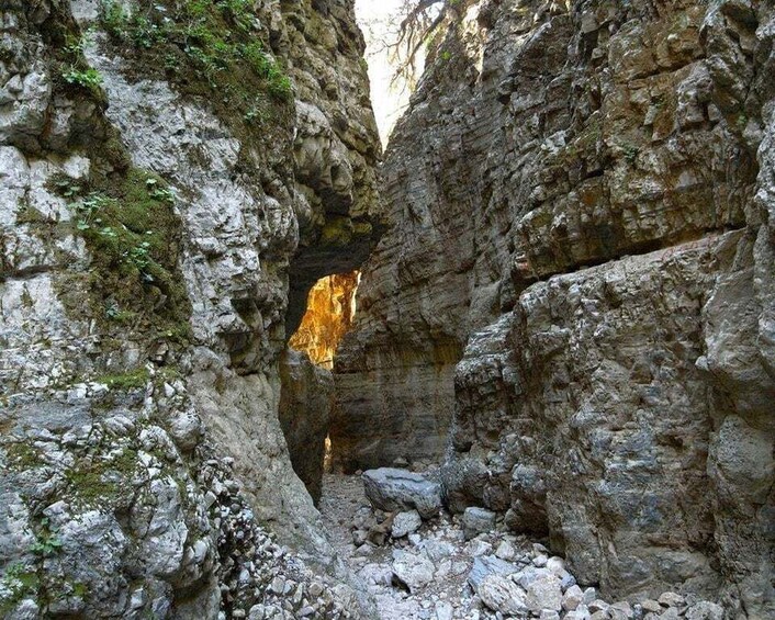 Picture 14 for Activity Chania: Imbros Gorge and Libyan Sea Day Tour