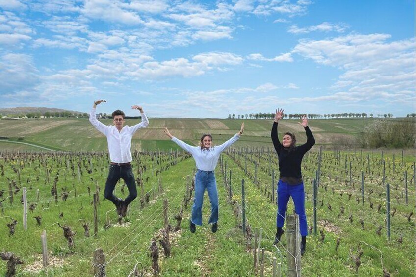 Sancerre Small Group Wine Day Trip with Wine Tastings and Lunch