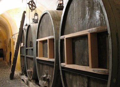 Santorini: Wine Museum Tasting & Entry with Audioguide