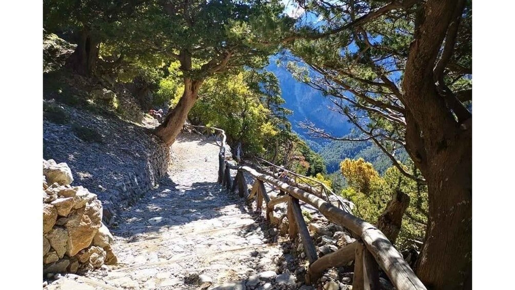 Picture 15 for Activity From Georgioupolis: Roundtrip Transfer to Samaria Gorge