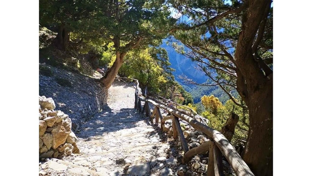 Picture 15 for Activity From Georgioupolis: Roundtrip Transfer to Samaria Gorge