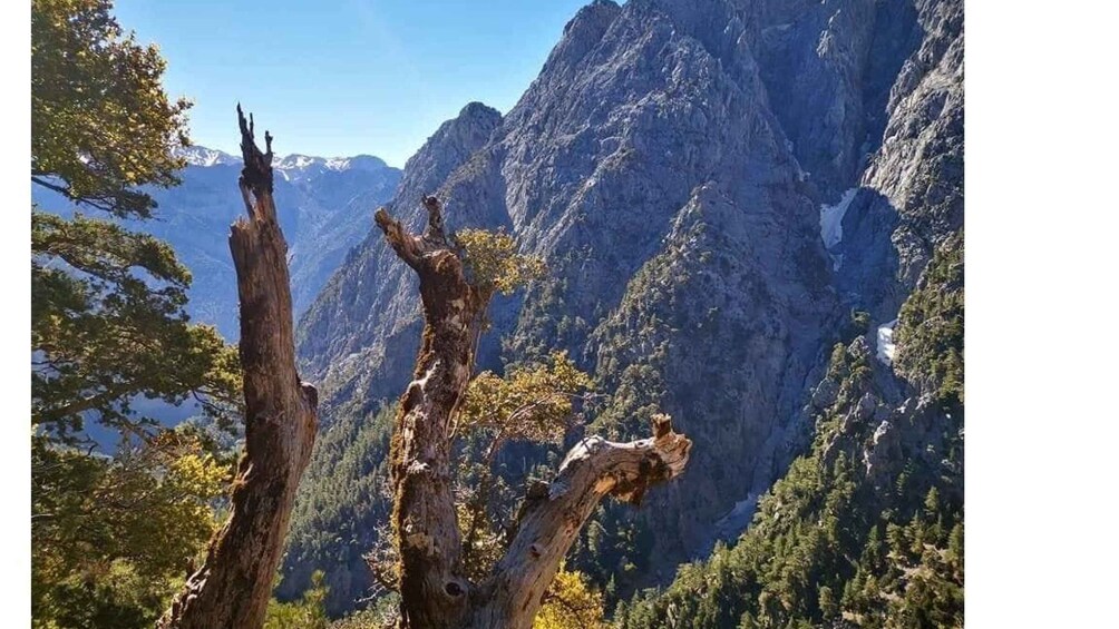 Picture 13 for Activity From Georgioupolis: Roundtrip Transfer to Samaria Gorge