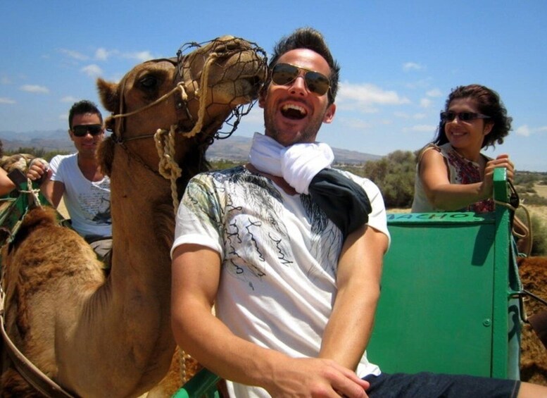 Picture 2 for Activity Maspalomas: Guided Camel Ride in the Maspalomas Sand Dunes