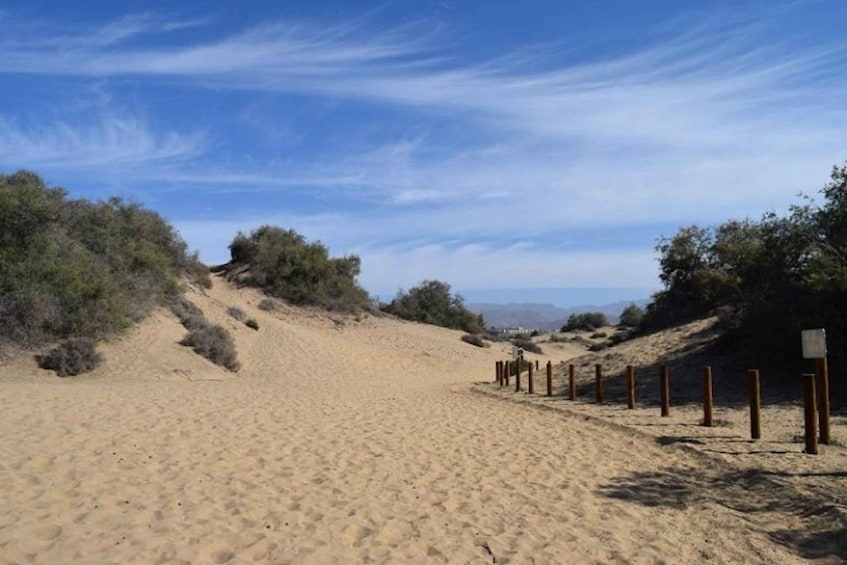 Picture 8 for Activity Maspalomas: Guided Camel Ride in the Maspalomas Sand Dunes