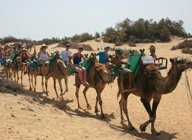 Maspalomas: Guidet kameltur i sanddynene i Maspalomas