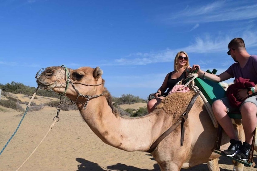 Picture 3 for Activity Maspalomas: Guided Camel Ride in the Maspalomas Sand Dunes