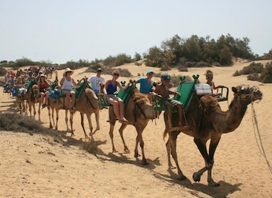 Maspalomas: Guidet kameltur i Maspalomas' sandklitter