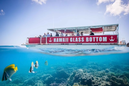 Honolulu: Glass Bottom Boat Tour along Oahu's South Shore