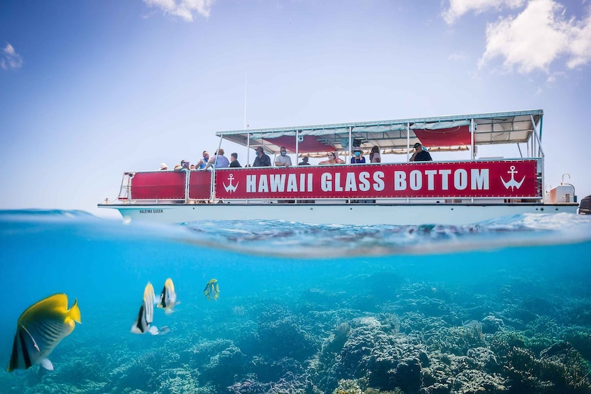 Honolulu: Glass Bottom Boat Tour along Oahu's South Shore