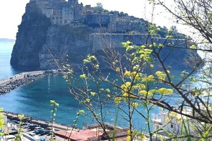 Guided Tour of the Aragonese Castle in Ischia