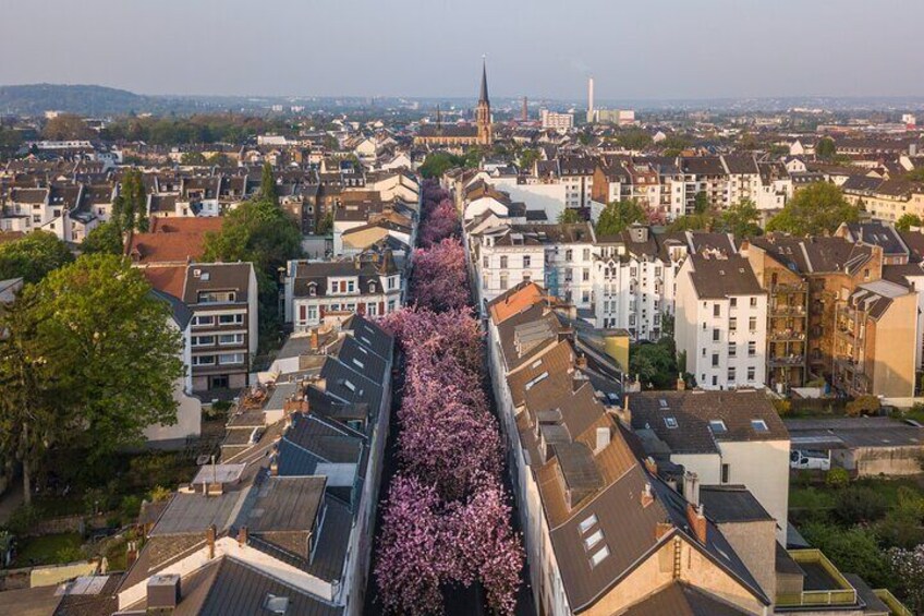 Bonn Self Guided City Walking Tour with Audio Guide